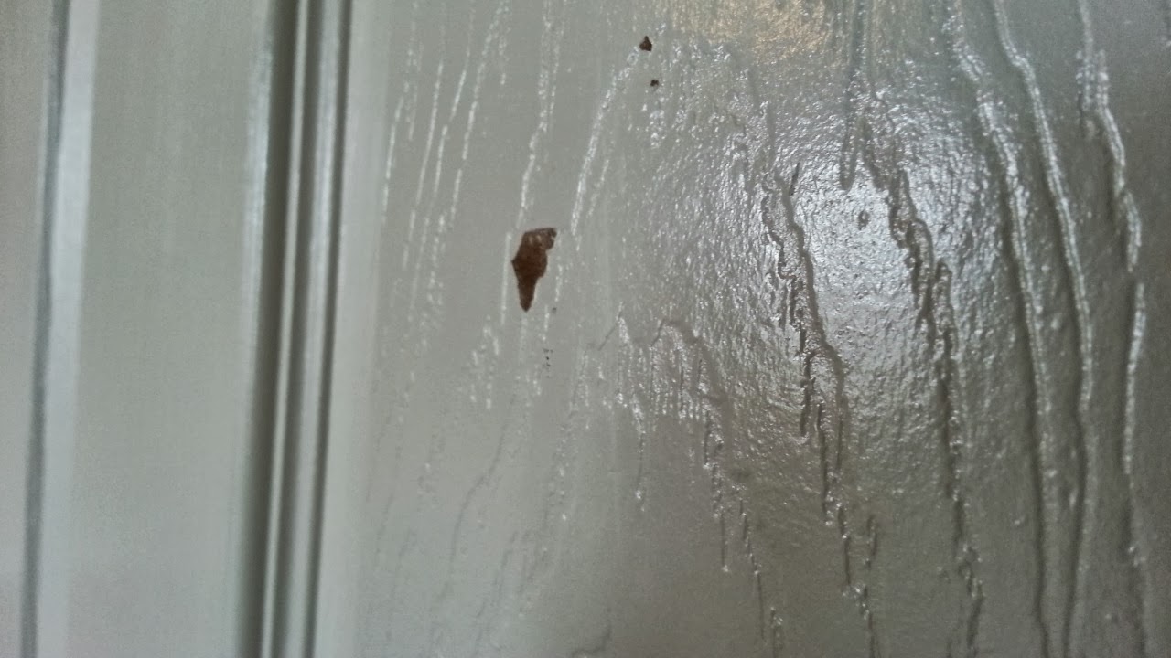 Cricut Cardiologist How to Remove Foam Tape from a Painted Door